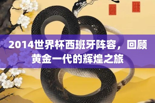 2014世界杯西班牙阵容，回顾黄金一代的辉煌之旅