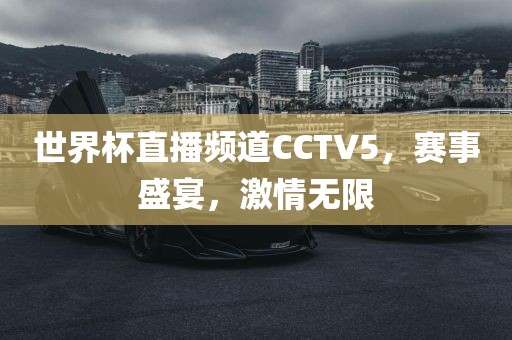 世界杯直播频道CCTV5，赛事盛宴，激情无限