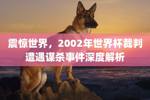 震惊世界，2002年世界杯裁判遭遇谋杀事件深度解析