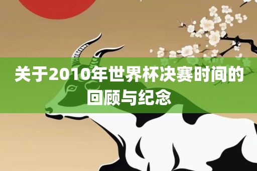 关于2010年世界杯决赛时间的回顾与纪念