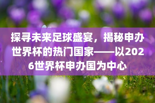 探寻未来足球盛宴，揭秘申办世界杯的热门国家——以2026世界杯申办国为中心
