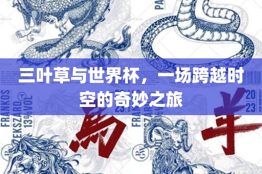三叶草与世界杯，一场跨越时空的奇妙之旅