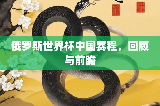 俄罗斯世界杯中国赛程，回顾与前瞻