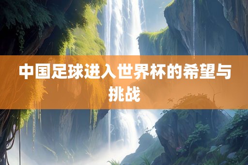 中国足球进入世界杯的希望与挑战
