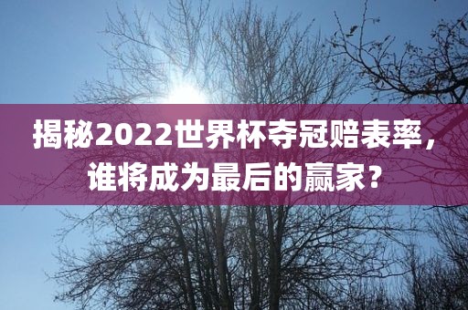 揭秘2022世界杯夺冠赔表率，谁将成为最后的赢家？