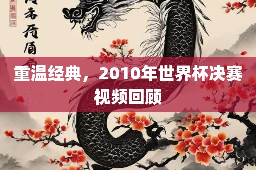 重温经典，2010年世界杯决赛视频回顾