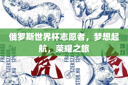 俄罗斯世界杯志愿者，梦想起航，荣耀之旅