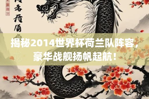 揭秘2014世界杯荷兰队阵容，豪华战舰扬帆起航！