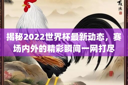 揭秘2022世界杯最新动态，赛场内外的精彩瞬间一网打尽