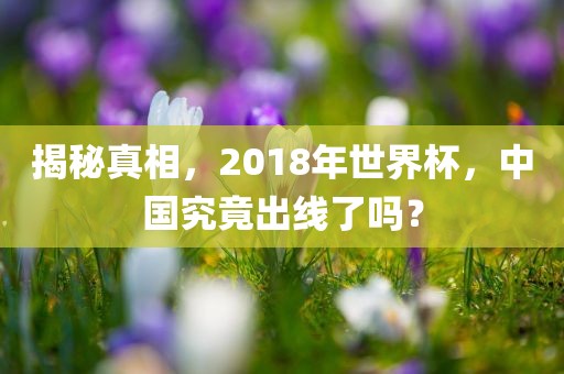 揭秘真相，2018年世界杯，中国究竟出线了吗？