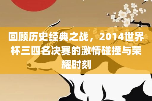 回顾历史经典之战，2014世界杯三四名决赛的激情碰撞与荣耀时刻
