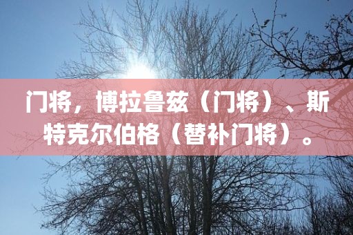 门将，博拉鲁兹（门将）、斯特克尔伯格（替补门将）。
