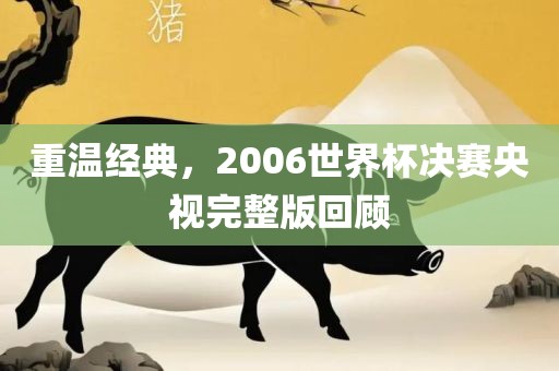 重温经典，2006世界杯决赛央视完整版回顾