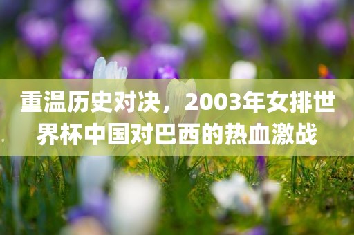 重温历史对决，2003年女排世界杯中国对巴西的热血激战