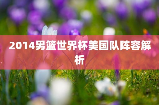 2014男篮世界杯美国队阵容解析
