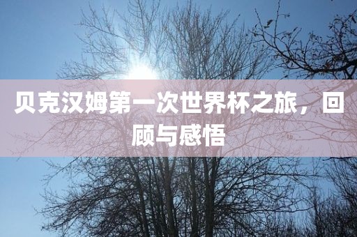 贝克汉姆第一次世界杯之旅，回顾与感悟