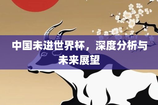 中国未进世界杯，深度分析与未来展望