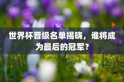 世界杯晋级名单揭晓，谁将成为最后的冠军？