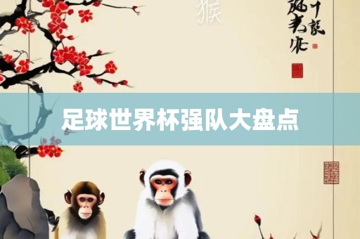 足球世界杯强队大盘点
