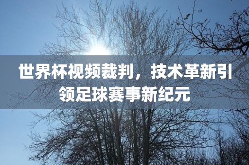 世界杯视频裁判，技术革新引领足球赛事新纪元