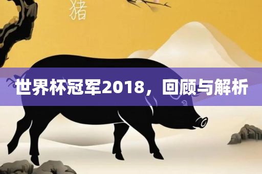世界杯冠军2018，回顾与解析