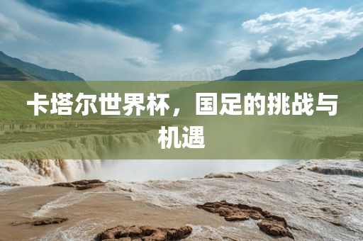 卡塔尔世界杯，国足的挑战与机遇