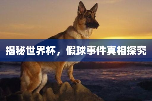 揭秘世界杯，假球事件真相探究