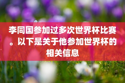 李同国参加过多次世界杯比赛。以下是关于他参加世界杯的相关信息