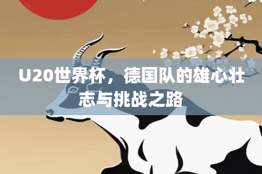 U20世界杯，德国队的雄心壮志与挑战之路
