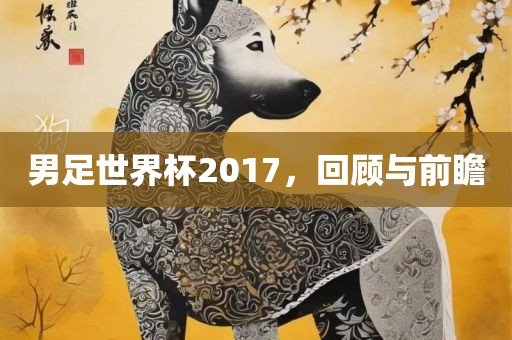 男足世界杯2017，回顾与前瞻