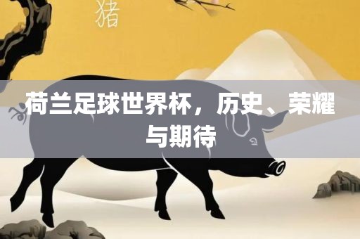 荷兰足球世界杯，历史、荣耀与期待