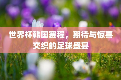 世界杯韩国赛程，期待与惊喜交织的足球盛宴