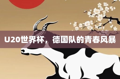 U20世界杯，德国队的青春风暴