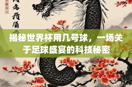 揭秘世界杯用几号球，一场关于足球盛宴的科技秘密