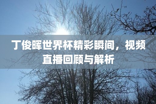 丁俊晖世界杯精彩瞬间，视频直播回顾与解析