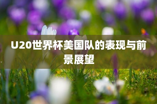 U20世界杯美国队的表现与前景吉安市靖泰电力工程有限公司展望