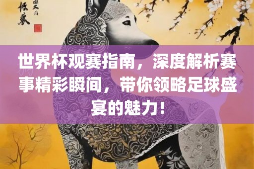 世界杯观赛指南，深度解析赛事精彩瞬间，带你领略足球盛宴的魅力！