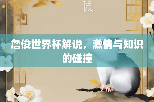 詹俊世界杯解说，激情与知识的碰撞