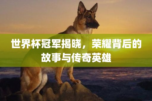 世界杯冠军揭晓，荣耀背后的故事与传奇英雄