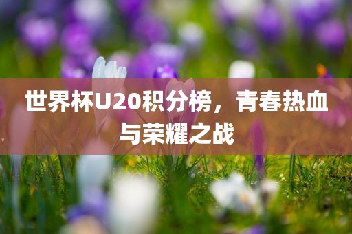 世界杯U20积分榜，青春热血与荣耀之战