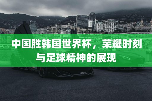 中国胜韩国世界杯，荣耀时刻与足球精神的展现