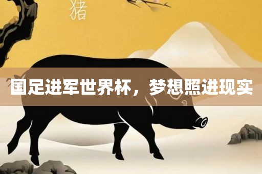 国足进军世界杯，梦想照进现实