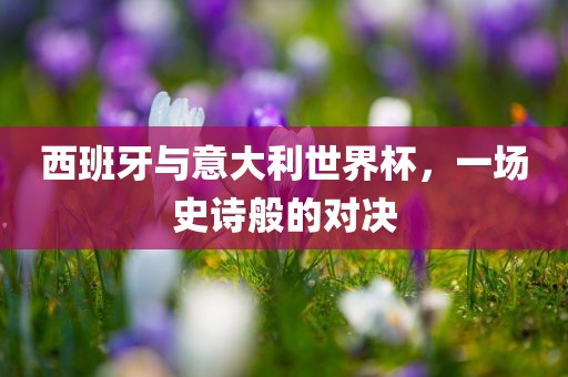 西班牙与意大利世界杯，一场史诗般的对决