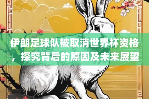伊朗足球队被取消世界杯资格，探究背后的原因及未来展望