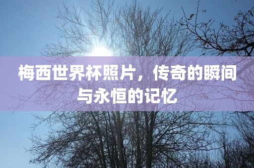 梅西世界杯照片，传奇的瞬间与永恒的记忆