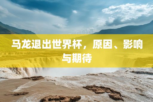 马龙退出世界杯，原因、影响与期待