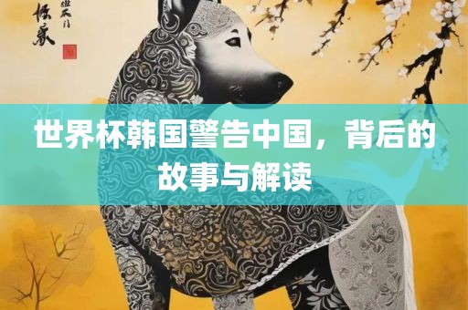世界杯韩国警告中国，背后的故事与解读