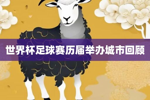 世界杯足球赛历届举办城市回顾