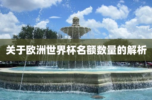 关于欧洲世界杯名额数量的解析