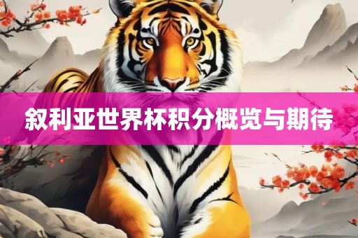 叙利亚世界杯积分概览与期待